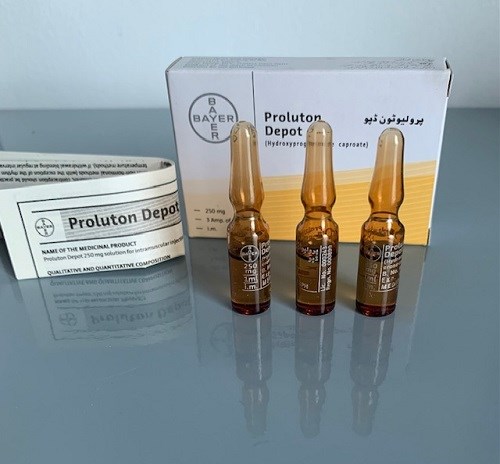 Proluton Depot 250mg hộp 3 ống 